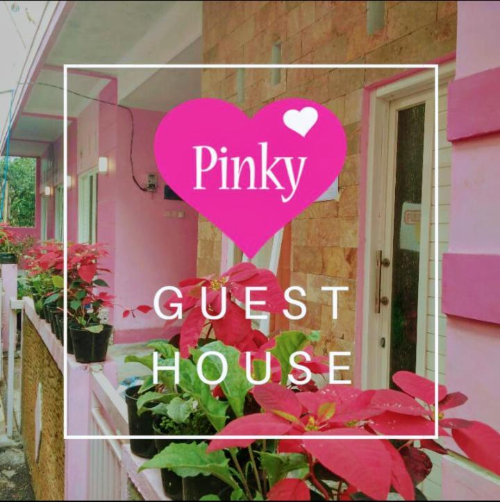 Pinky Guest House Batu Extérieur photo
