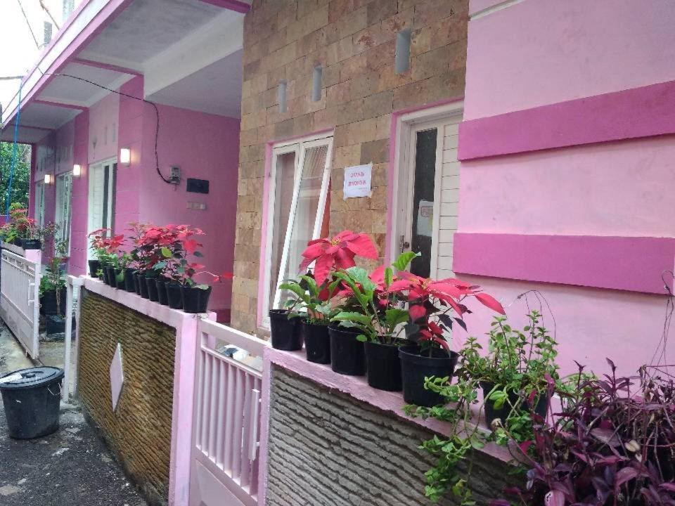 Pinky Guest House Batu Extérieur photo